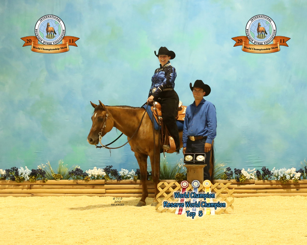 Sutton Performance Horses » IBHA World Champion