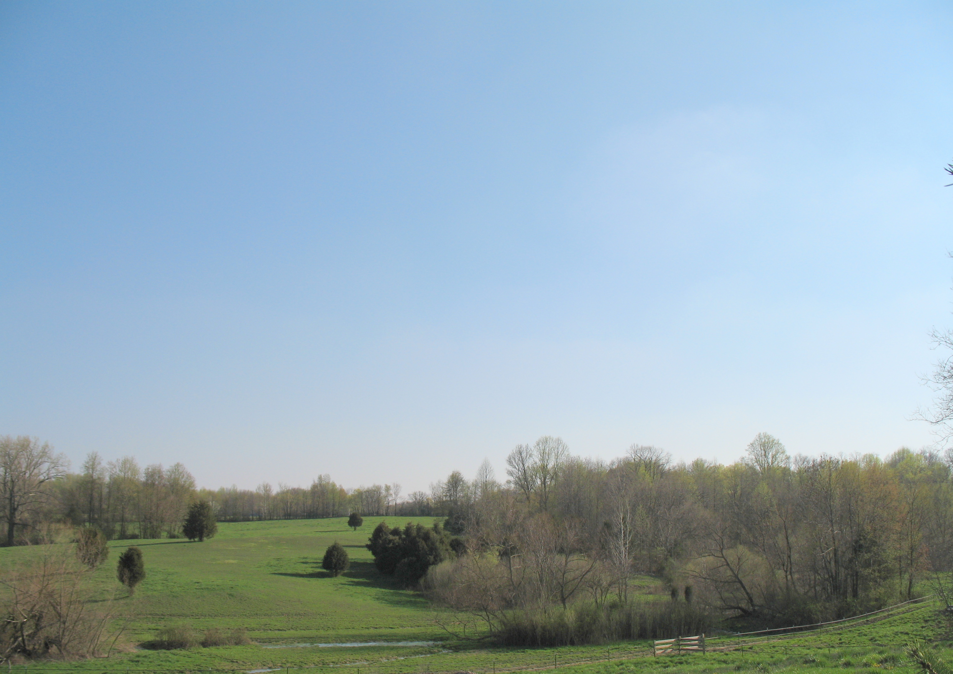 Back Acreage