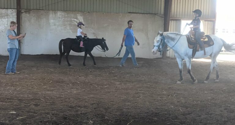 Lesson Ponies