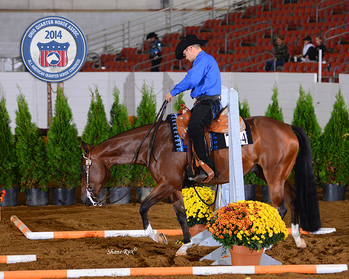 AQHA Congress 2014